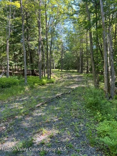 98 Norwegian Road Prattsville, NY 12468 - Photo 5 of 13 11401415-tCbsk4fPTZqRSqfB