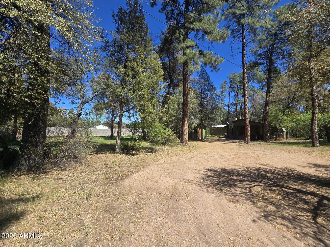 118 East Frontier Street Payson, AZ 85541 - Photo 19 of 22 a view of a yard with plants and trees