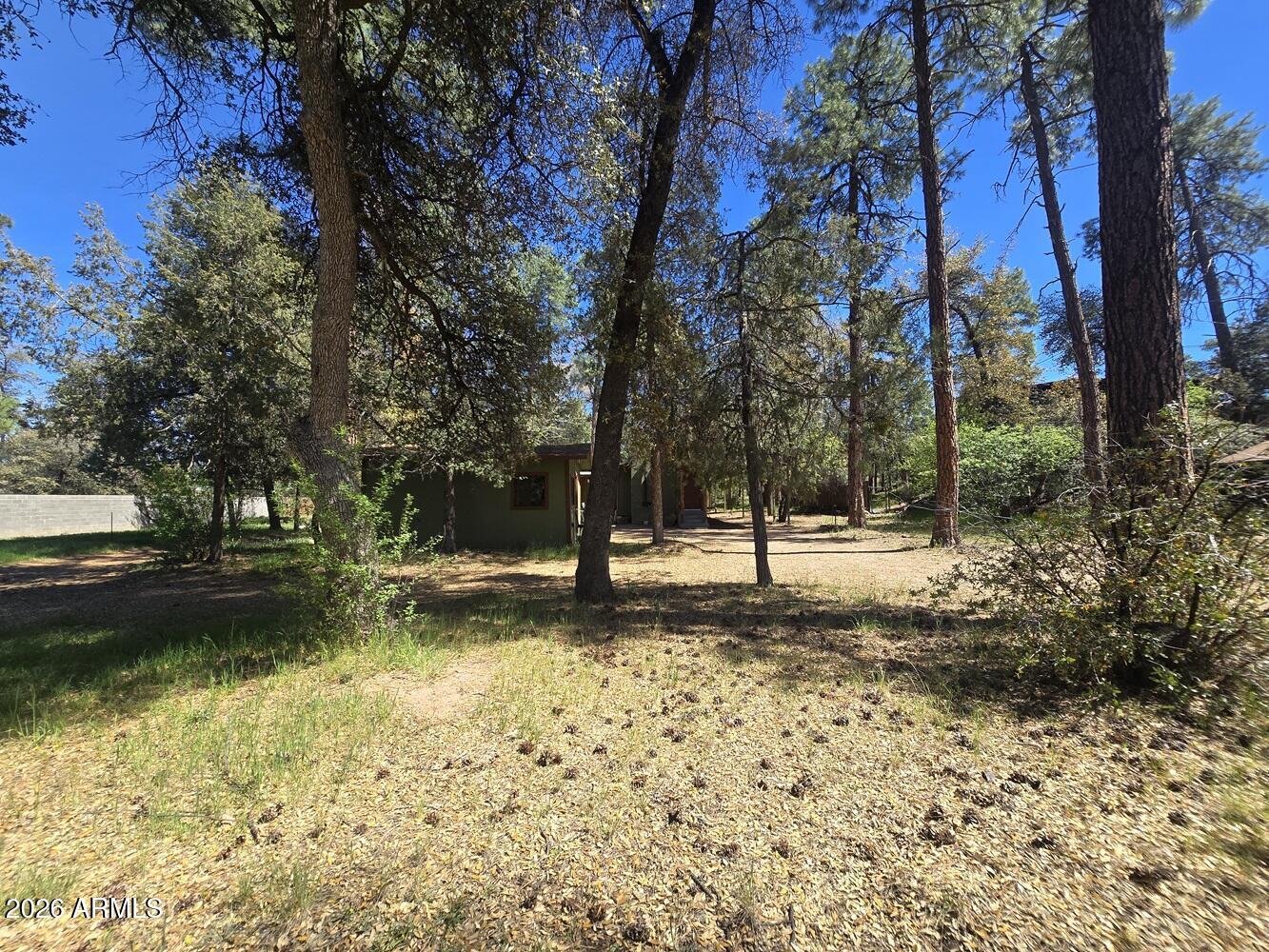 118 East Frontier Street Payson, AZ 85541 - Photo 22 of 22 a view of a yard with a tree