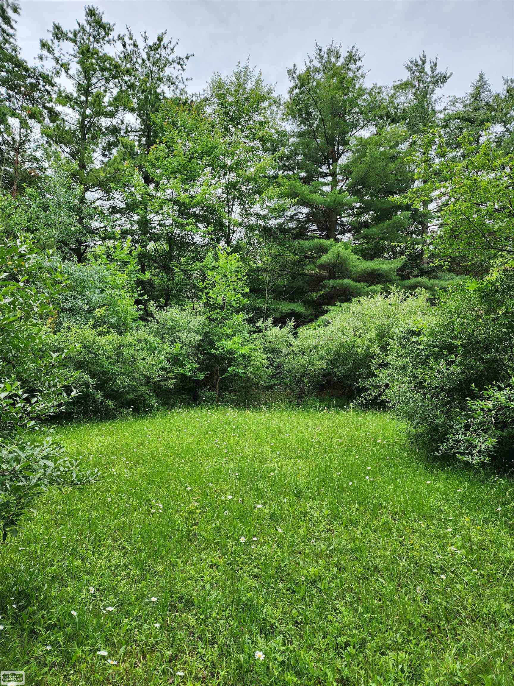 3734 Breen Road Emmett, MI 48022 - Photo 10 of 25 Gallery Image 10