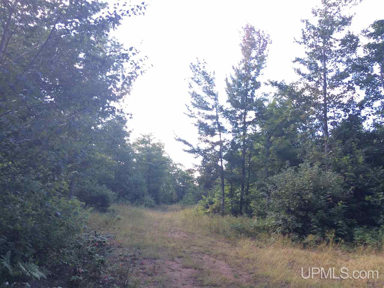 Tbd Off Misery Bay Road, Unit S2SE Toivola, MI 49965 - Photo 6 of 10