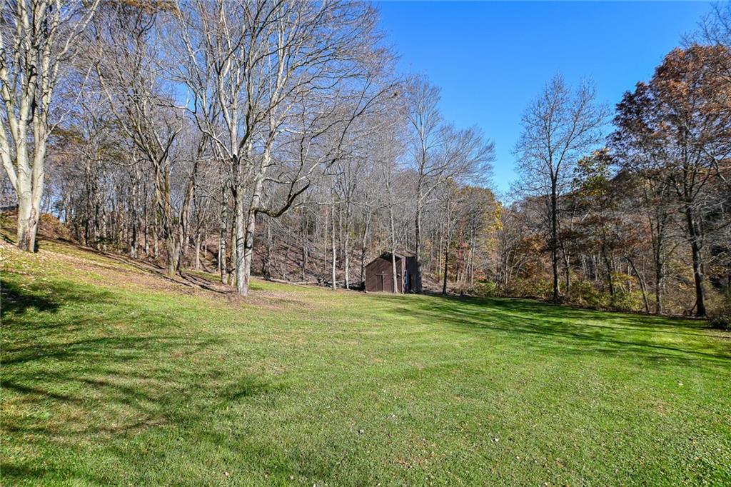 171 Mary Reed Road Baden, PA 15005 - Photo 24 of 25 a big yard with trees