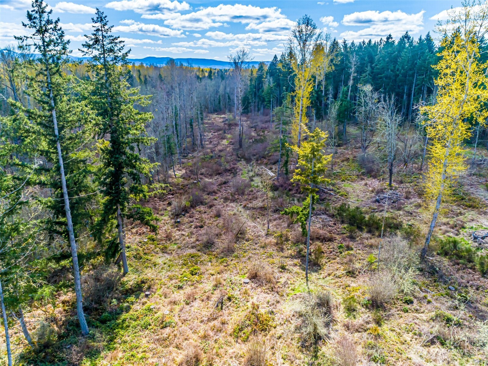 0 40th Avenue South Roy, WA 98580 - Photo 12 of 25 a backyard of a house with lots of green space