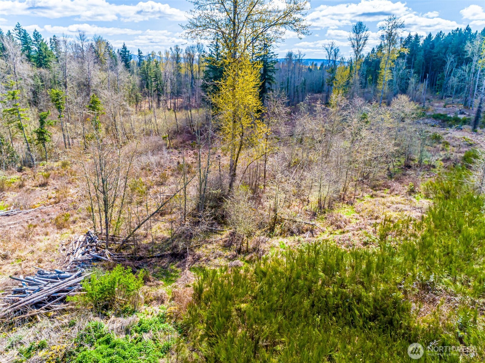 0 40th Avenue South Roy, WA 98580 - Photo 14 of 25 a view of yard