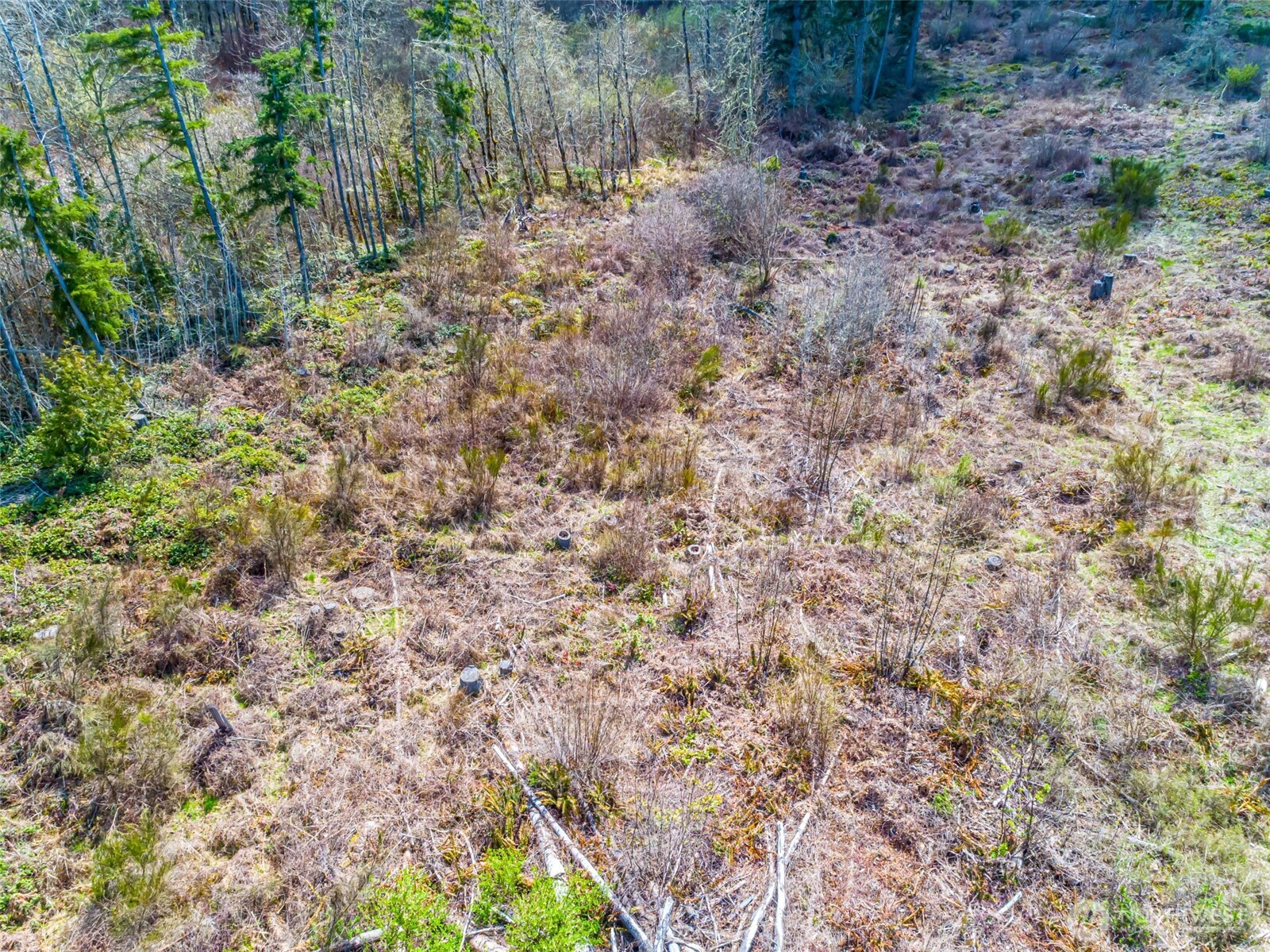 0 40th Avenue South Roy, WA 98580 - Photo 15 of 25 a view of a yard with plants and wooden fence