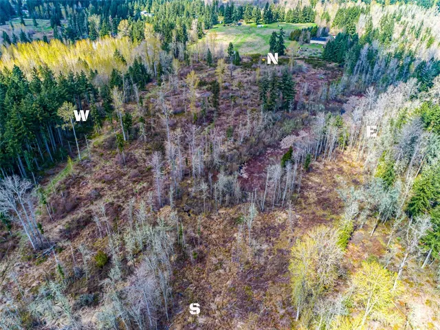 a view of a yard with plants and a large tree