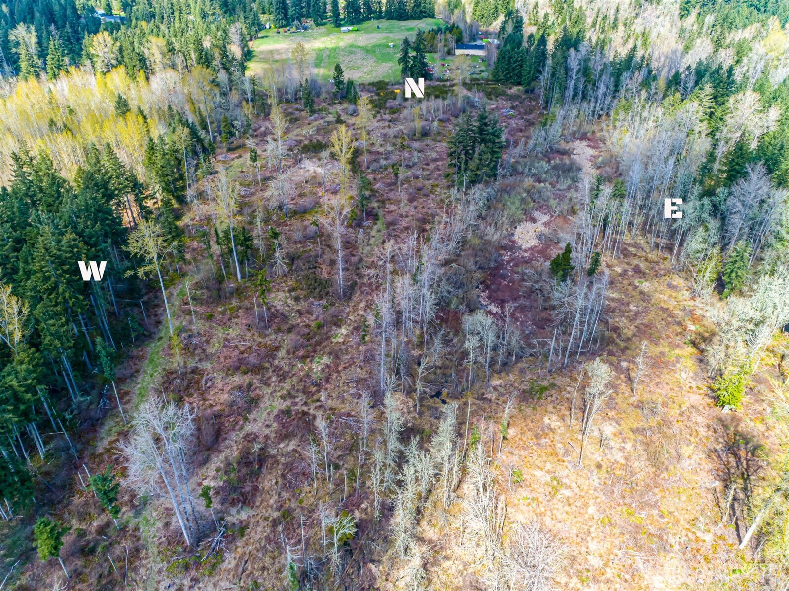 0 40th Avenue South Roy, WA 98580 - Photo 19 of 25 a view of a garden with a lake