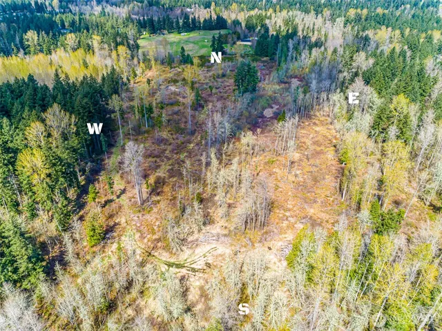 a view of a yard with trees