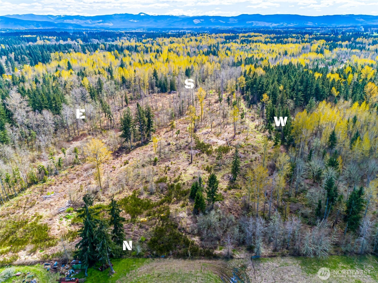 0 40th Avenue South Roy, WA 98580 - Photo 2 of 25 a view of a field with trees and bushes
