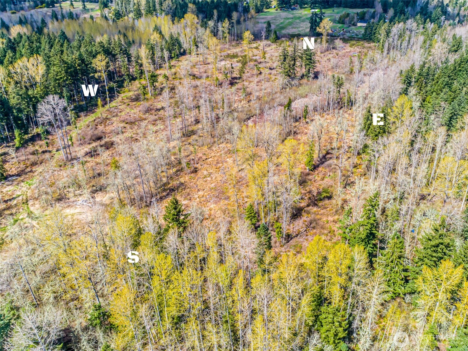 0 40th Avenue South Roy, WA 98580 - Photo 21 of 25 a view of a yard with trees
