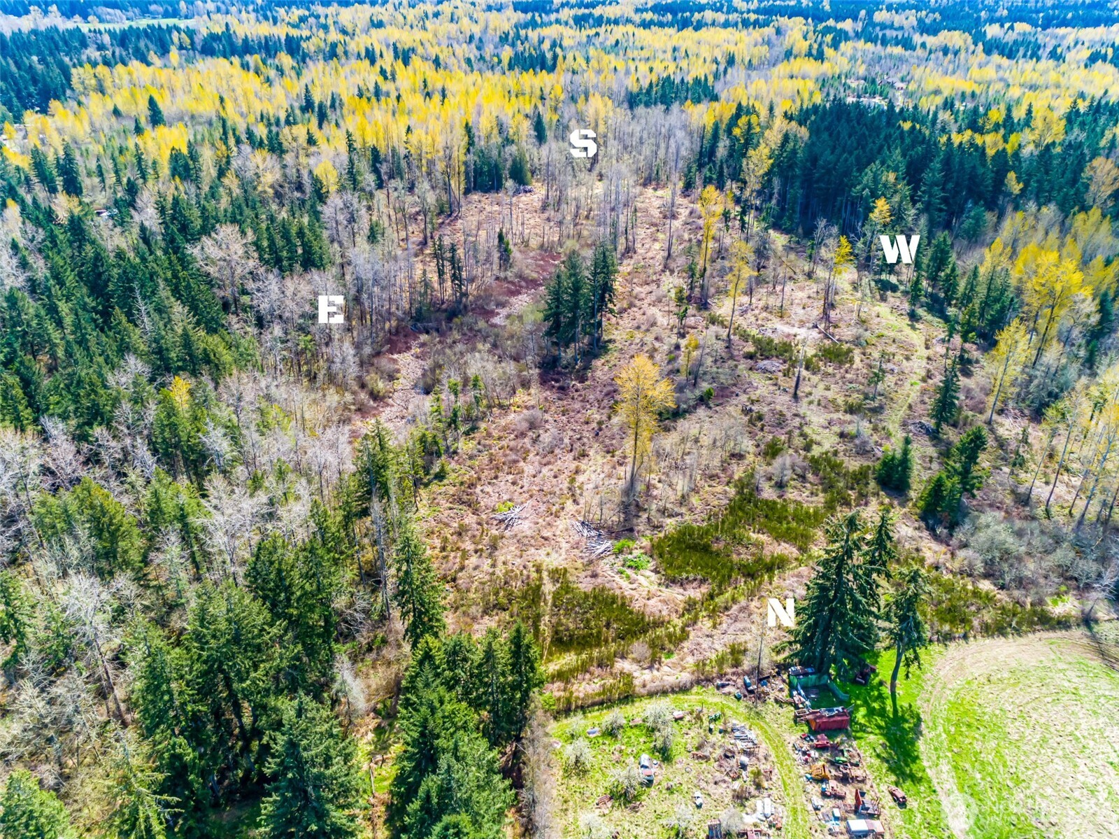 0 40th Avenue South Roy, WA 98580 - Photo 22 of 25