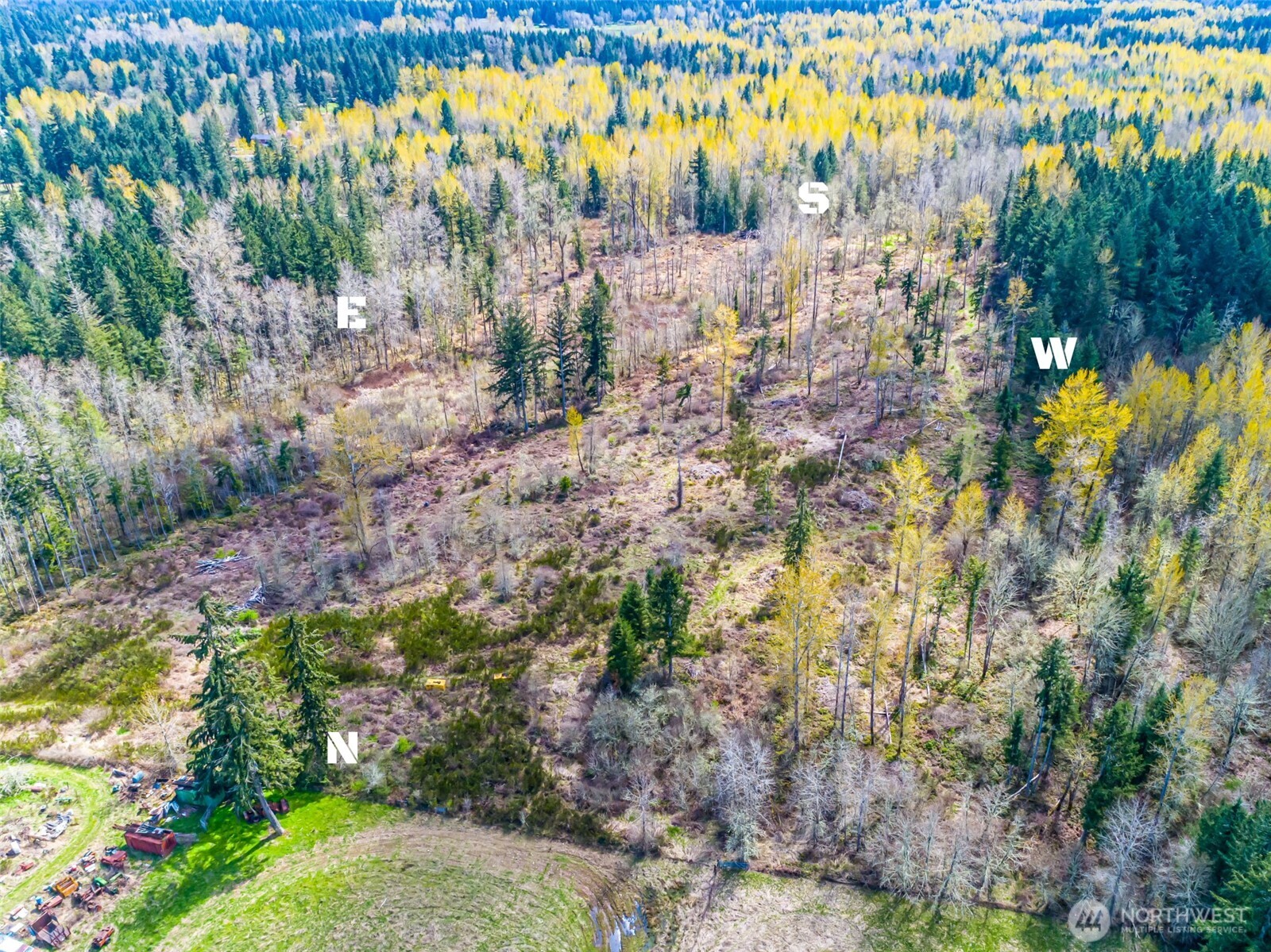 0 40th Avenue South Roy, WA 98580 - Photo 23 of 25 a view of a yard with a tree