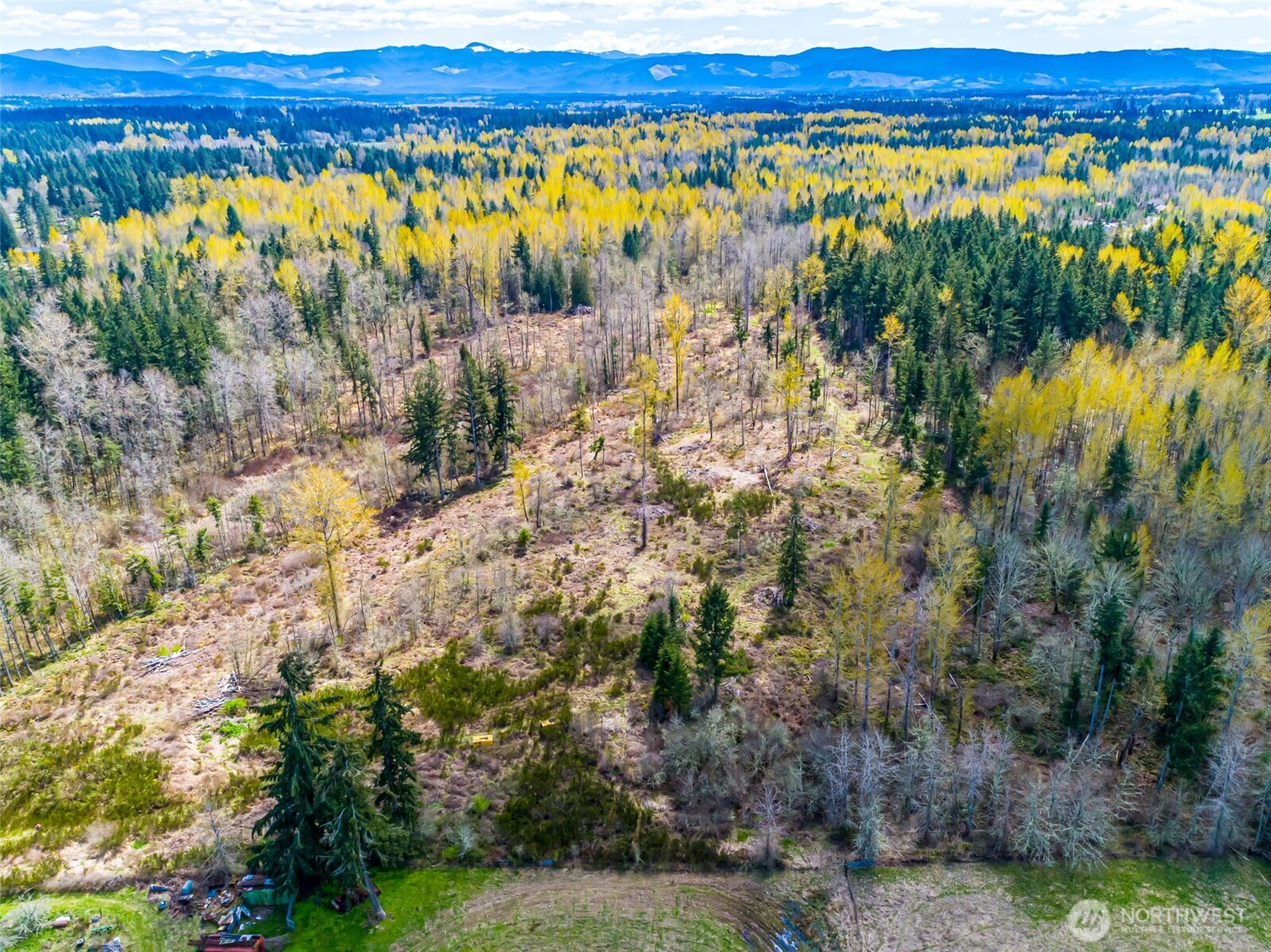 0 40th Avenue South Roy, WA 98580 - Photo 24 of 25 a view of a field with trees and bushes