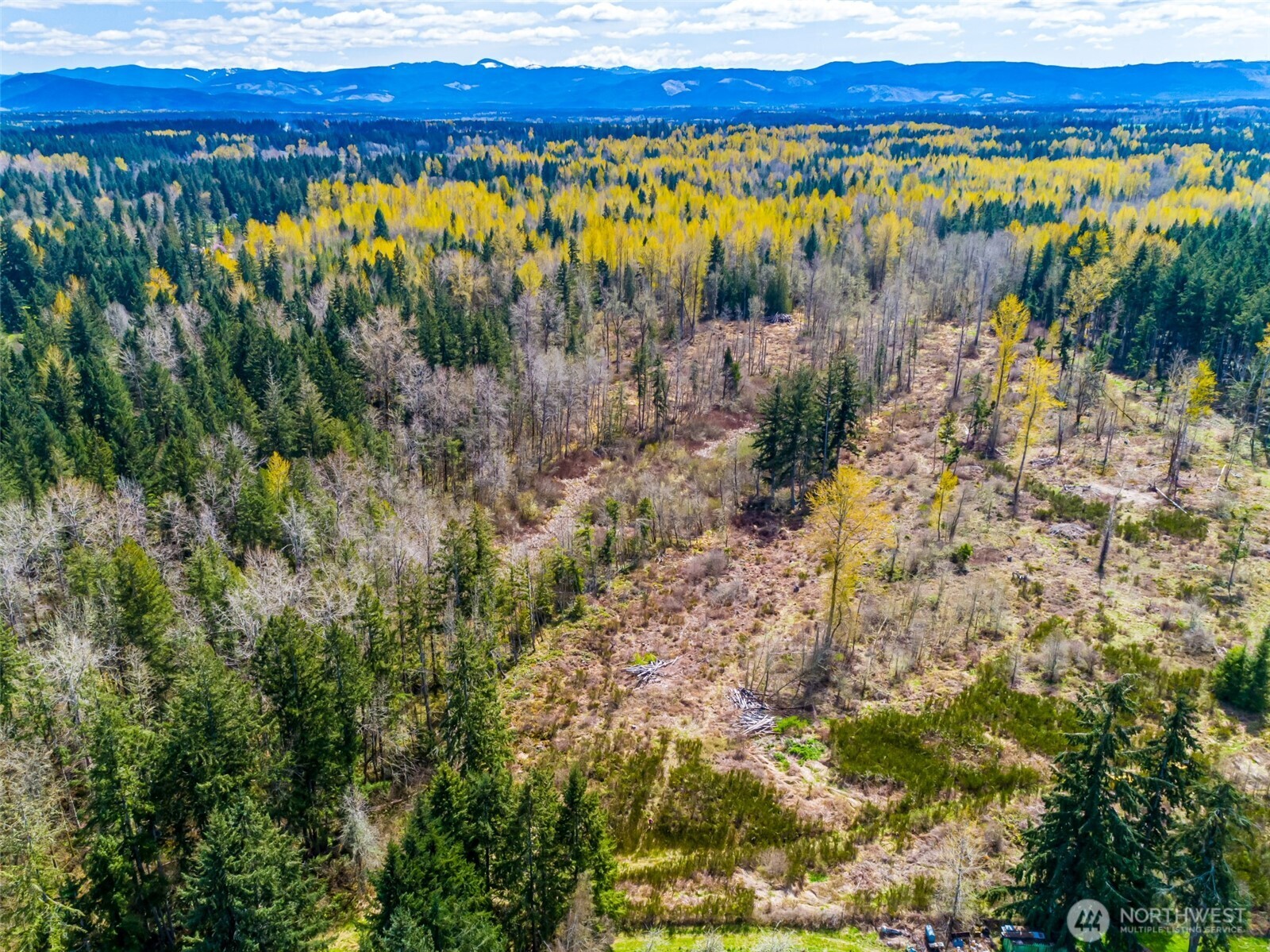 0 40th Avenue South Roy, WA 98580 - Photo 25 of 25 a view of a lake with a building in the background