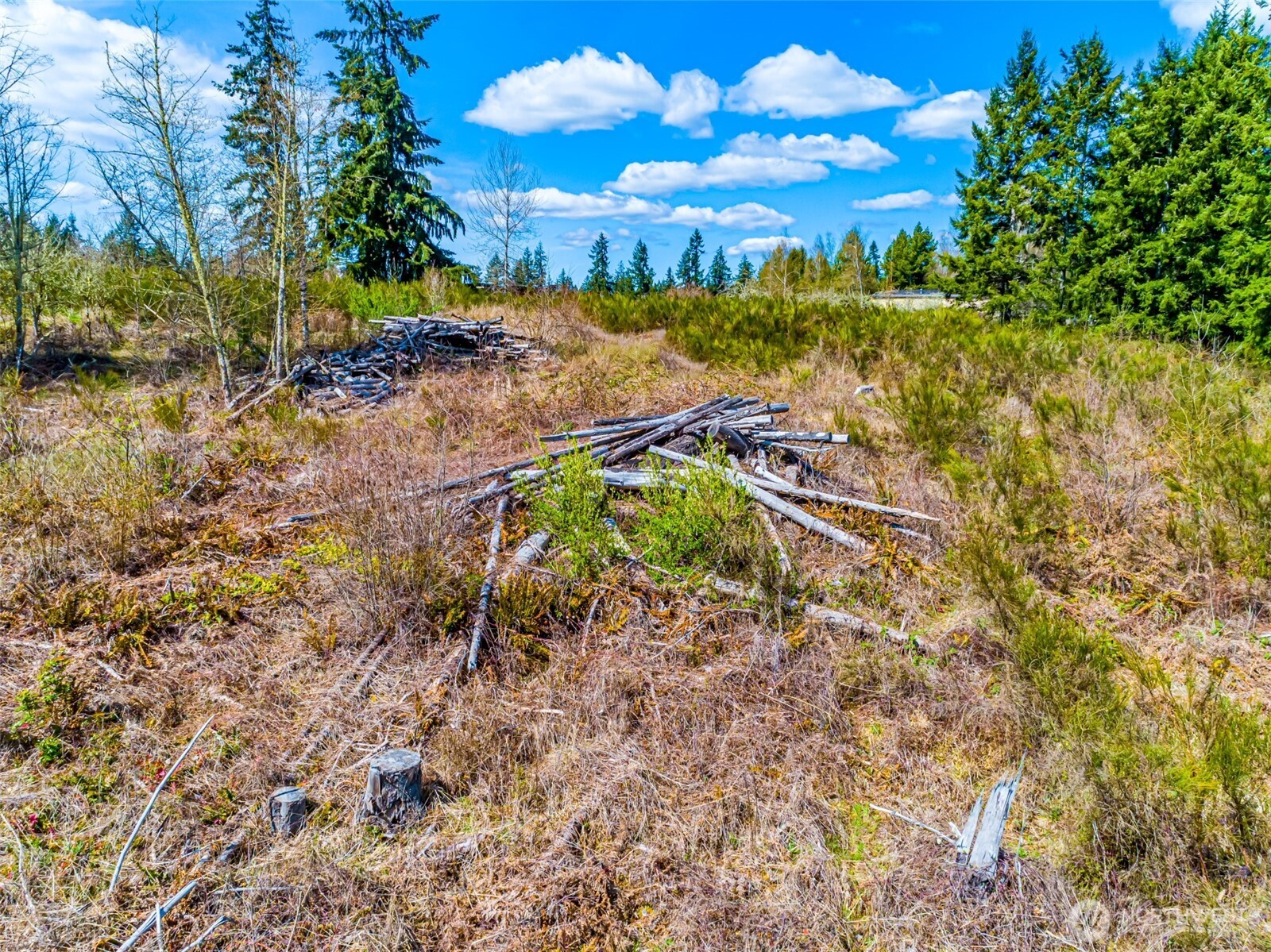 0 40th Avenue South Roy, WA 98580 - Photo 3 of 25 a view of an outdoor space