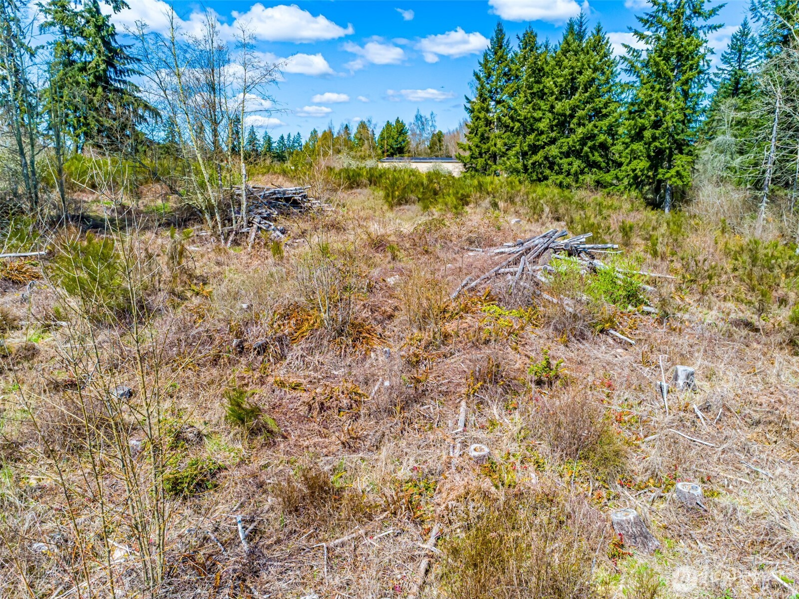 0 40th Avenue South Roy, WA 98580 - Photo 5 of 25 a view of a yard with a tree