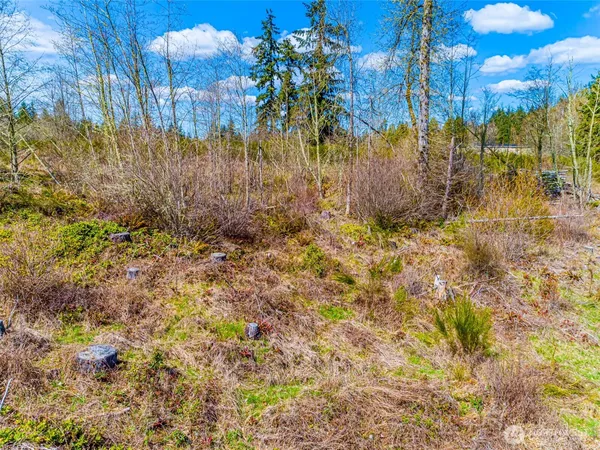 $165,000 | 0 40th Avenue South, Roy, WA 98580