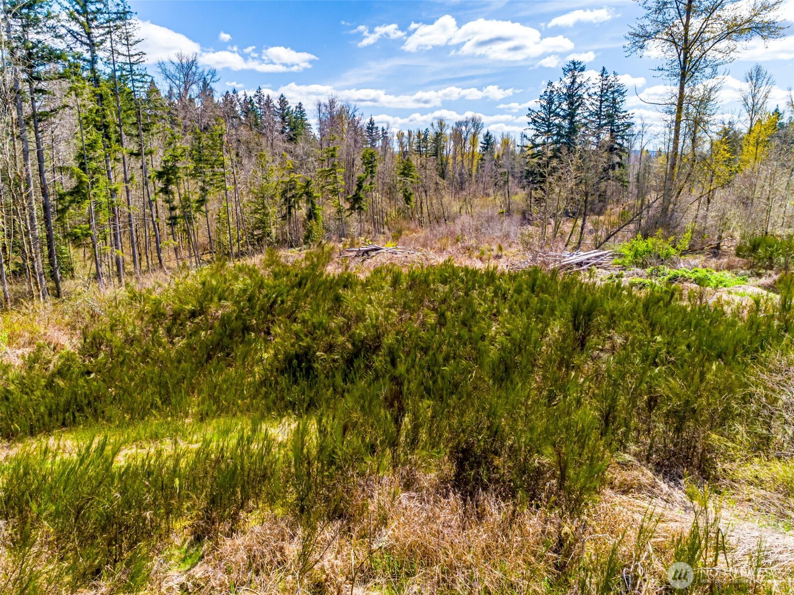 0 40th Avenue South Roy, WA 98580 - Photo 7 of 25 a view of a city