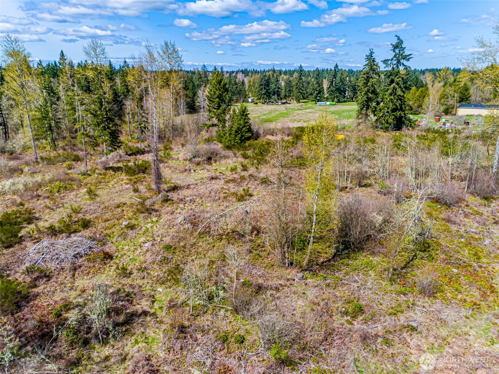 0 40th Avenue South Roy, WA 98580 - Photo 8 of 25 a view of a yard with plants and large trees