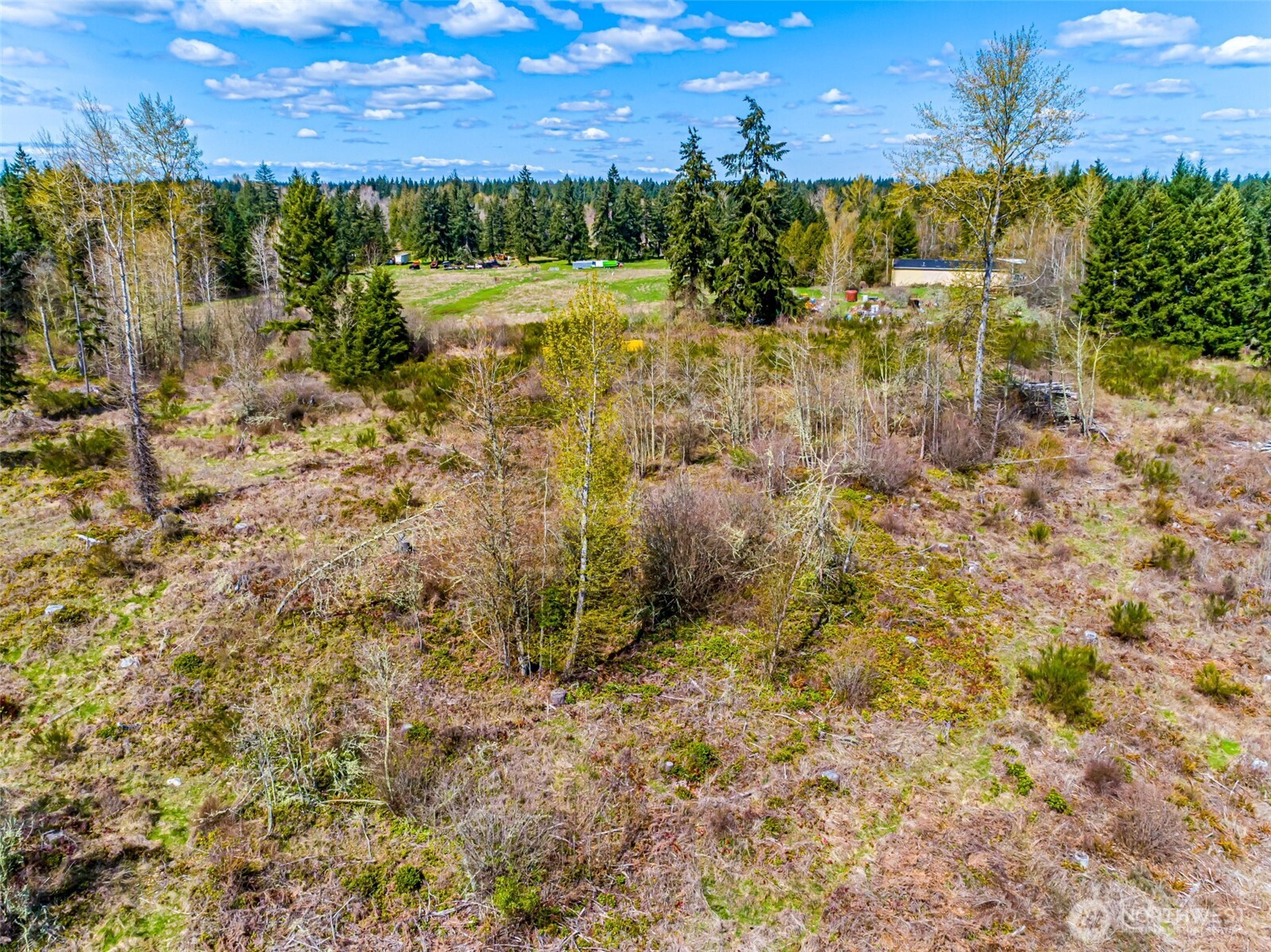 0 40th Avenue South Roy, WA 98580 - Photo 9 of 25 a view of a yard with plants and large trees