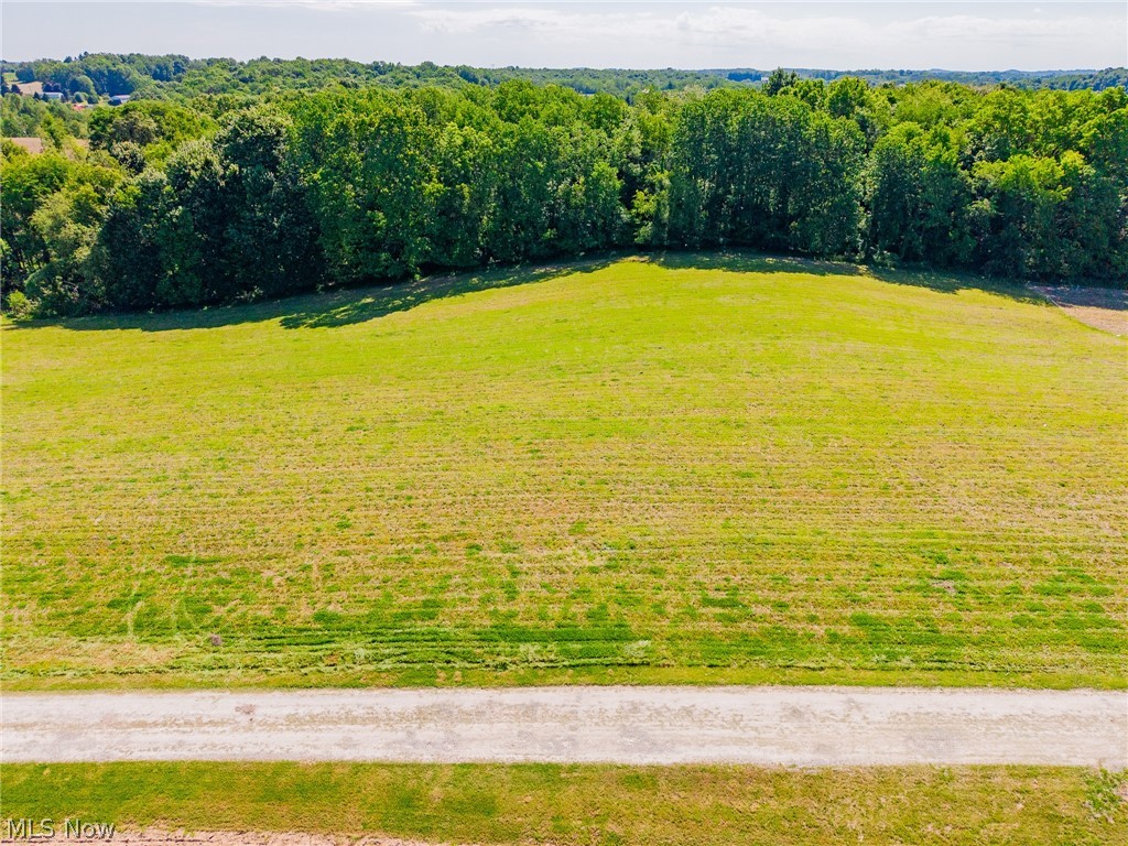 Ridge Road Minerva, OH 44657 - Photo 45 of 49