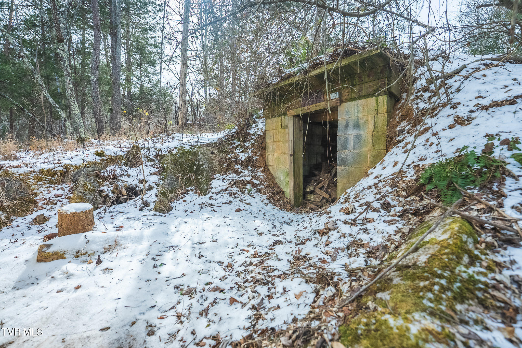 170-158 Dalson Road Eidson, TN 37731 - Photo 37 of 40 DSC09617