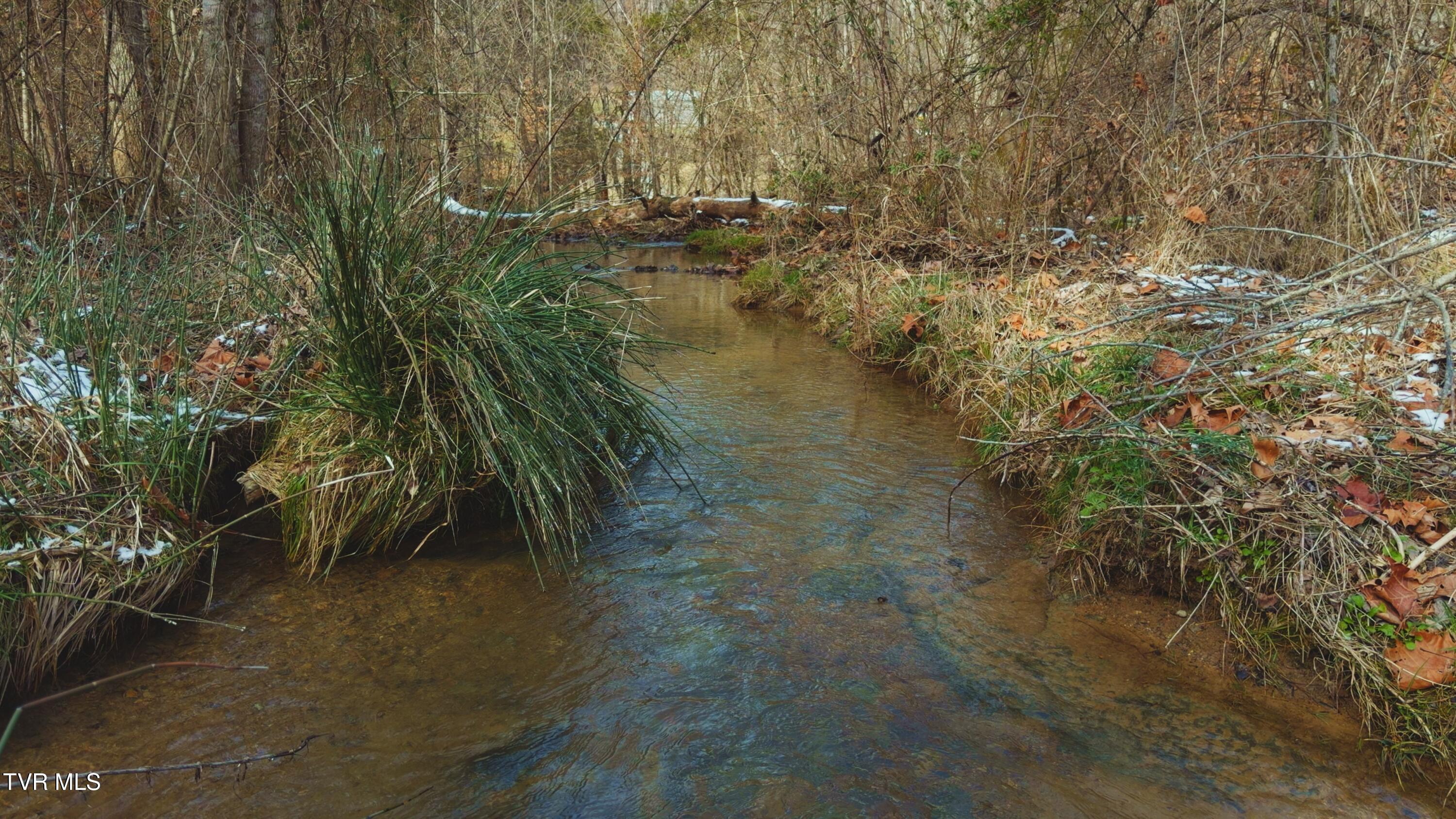 170-158 Dalson Road Eidson, TN 37731 - Photo 40 of 40 Still 2026-01-30 020900_1.20.1