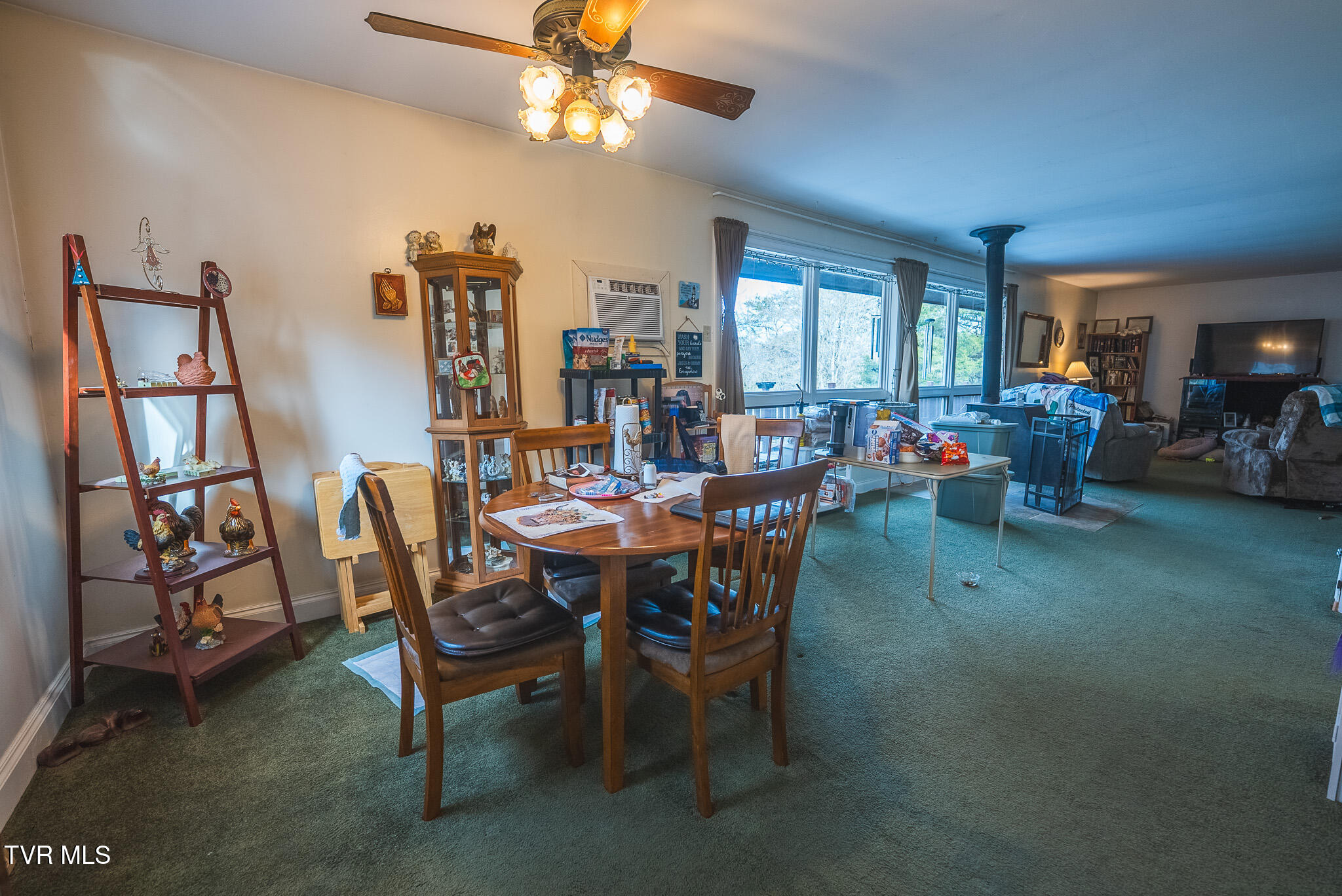 170-158 Dalson Road Eidson, TN 37731 - Photo 7 of 40 DSC09667