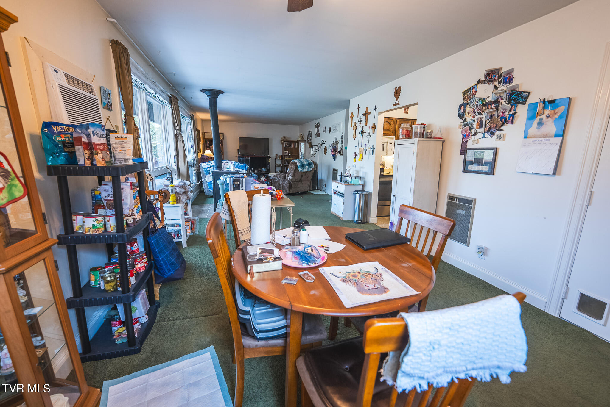 170-158 Dalson Road Eidson, TN 37731 - Photo 9 of 40 DSC09672