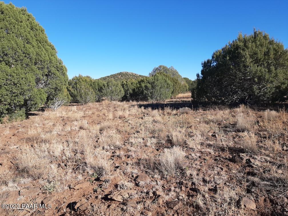 12 Crookton Road Ash Fork, AZ 86320 - Photo 2 of 10 Crookton Rd