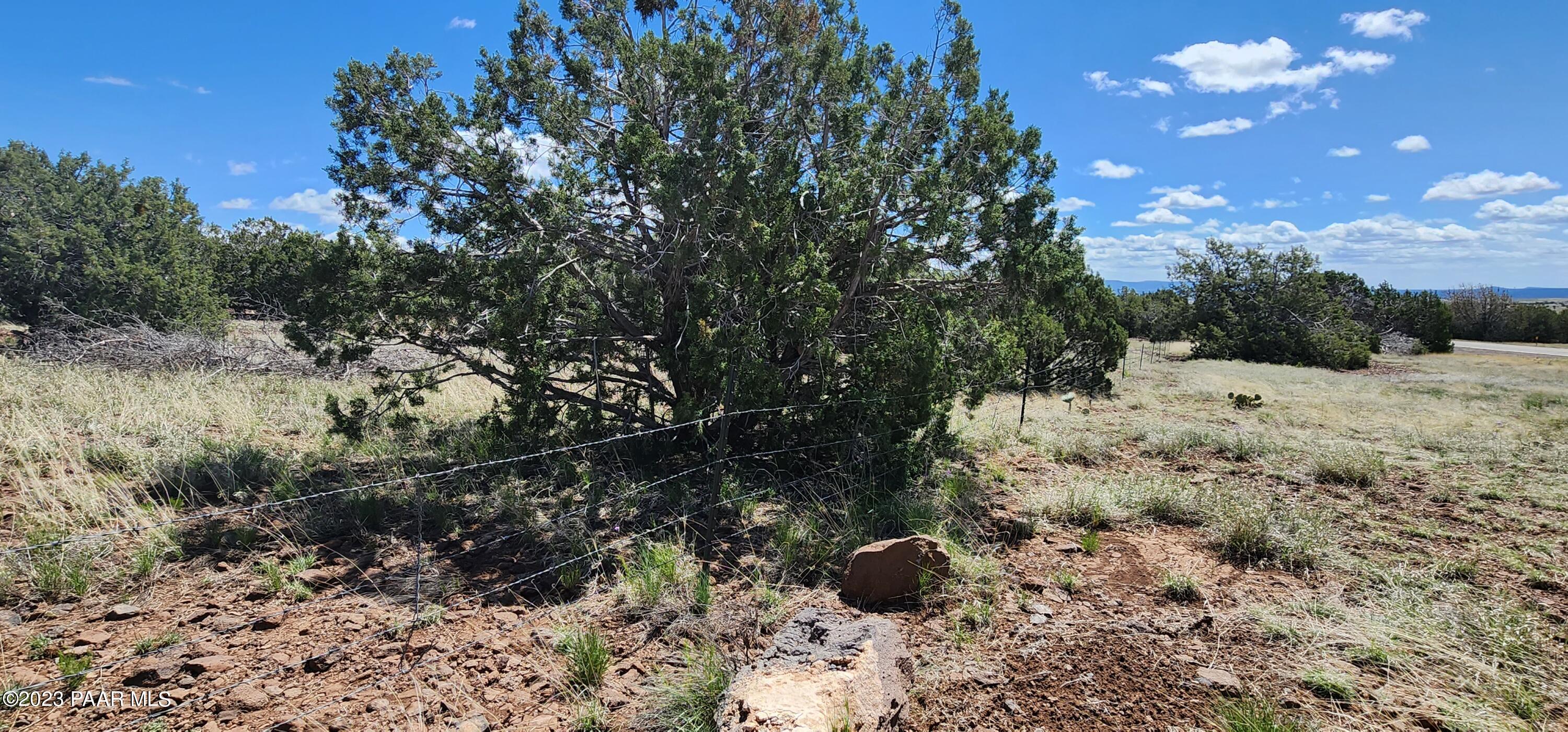 12 Crookton Road Ash Fork, AZ 86320 - Photo 6 of 10 Crookton Rd