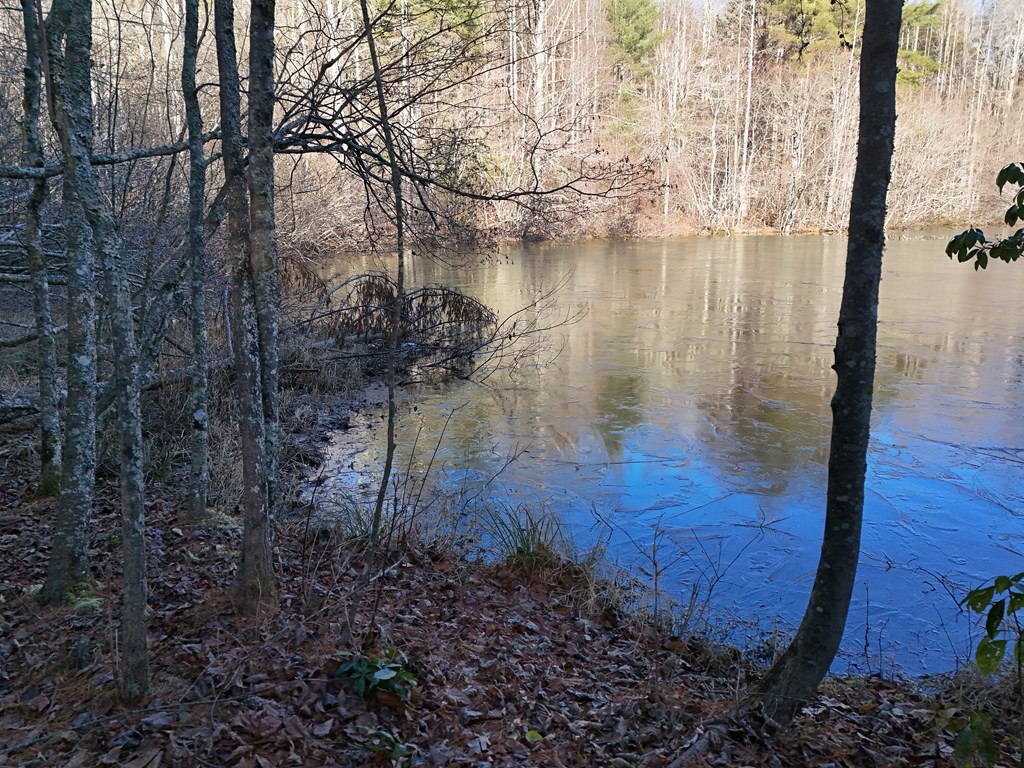 5-acres Hells Holw Way Blue Ridge, GA 30513 - Photo 32 of 43 Gallery Image 32