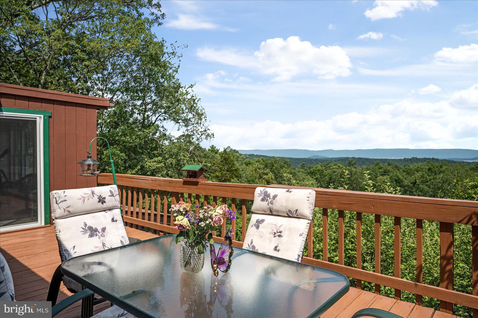 685 North Maple Road Mount Jackson, VA 22842 - Photo 35 of 64