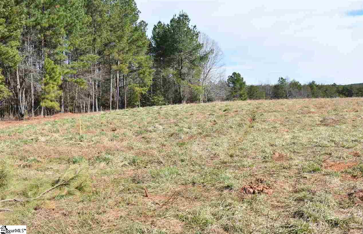 -ab Old Hills Bridge Road, Unit LOT A/B Enoree, SC 29335 - Photo 1 of 6 Gallery Image 1