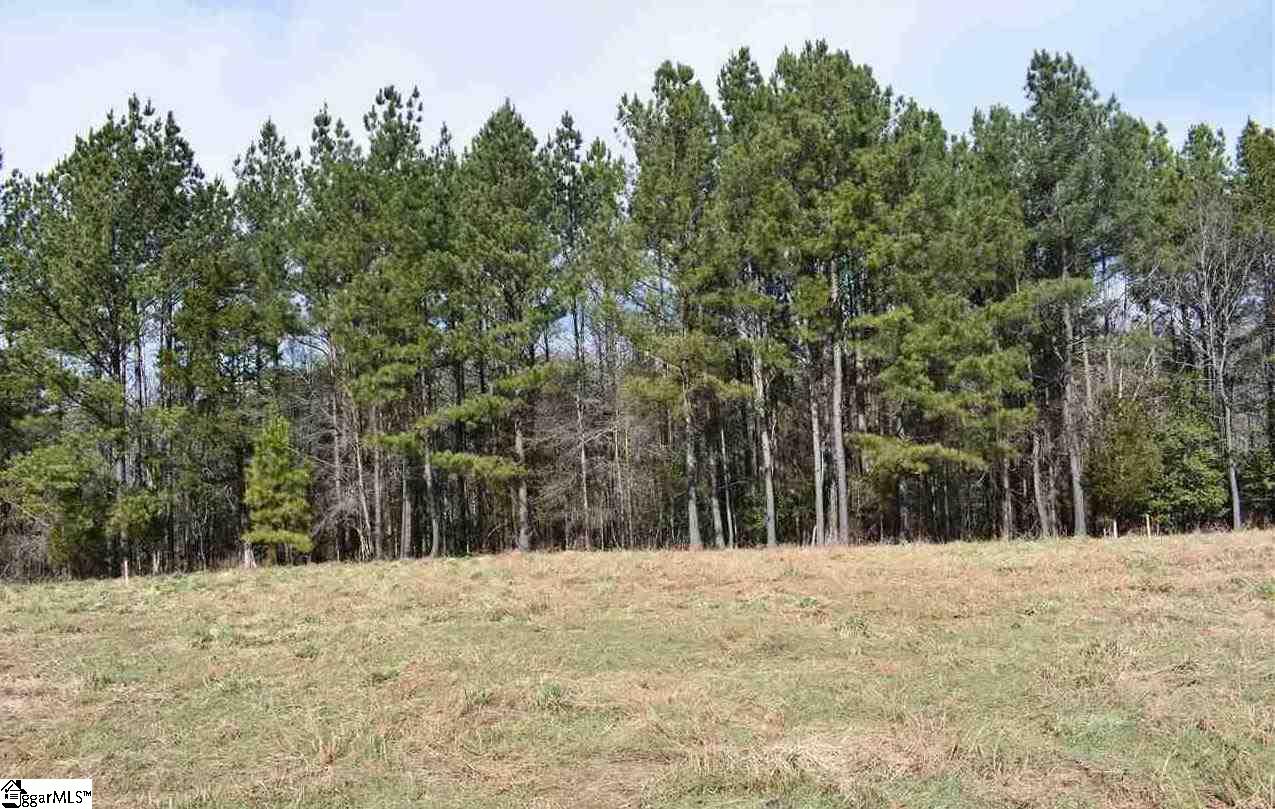 -ab Old Hills Bridge Road, Unit LOT A/B Enoree, SC 29335 - Photo 2 of 6 Gallery Image 2