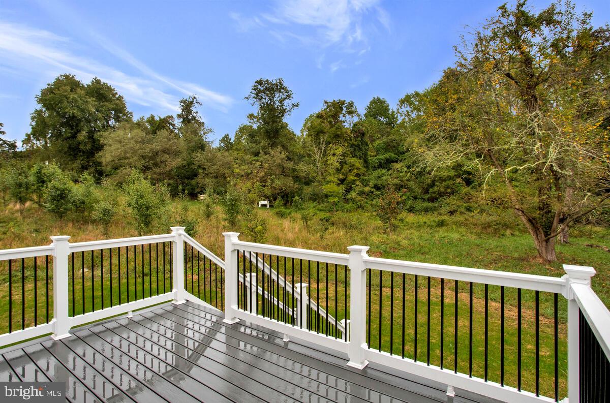 3980 Ferry Landing Road Dunkirk, MD 20754 - Photo 47 of 49 Rear Deck