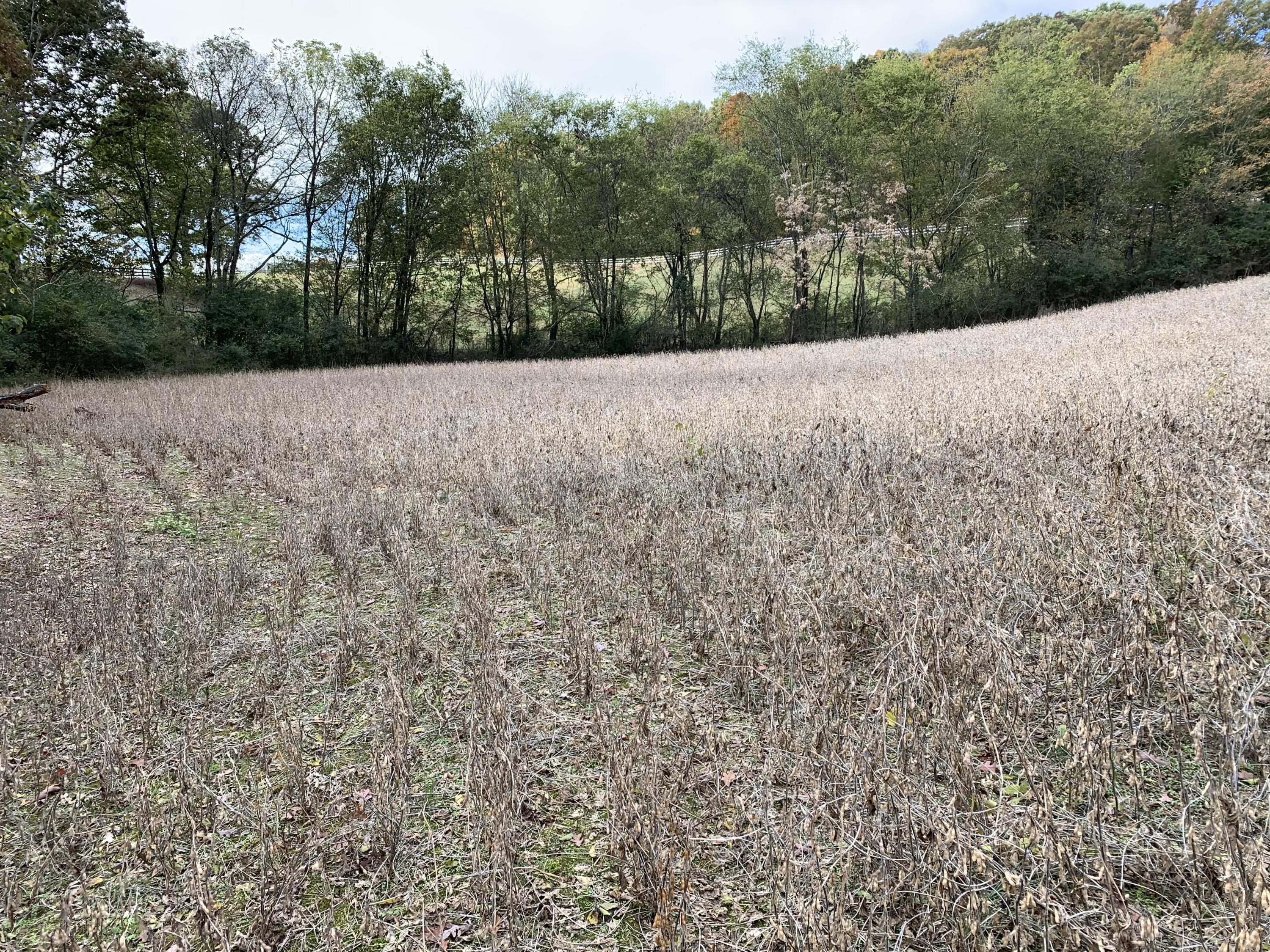 3001 Jim Dyke Road Loudon, TN 37774 - Photo 8 of 12 Back Side