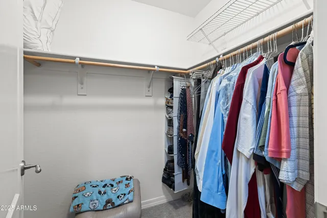 a view of walk in closet with clothes and shoes