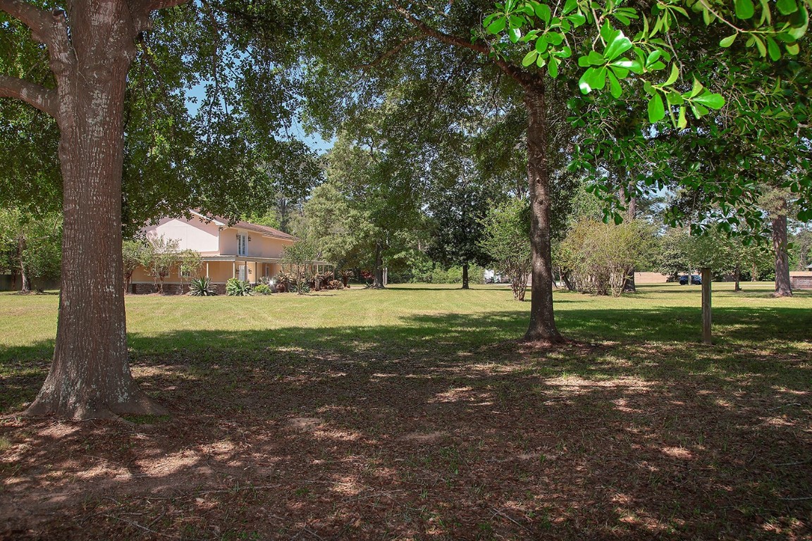 1231 Pruitt Road Spring, TX 77380 - Photo 11 of 37 a view of a tree in the middle of a yard