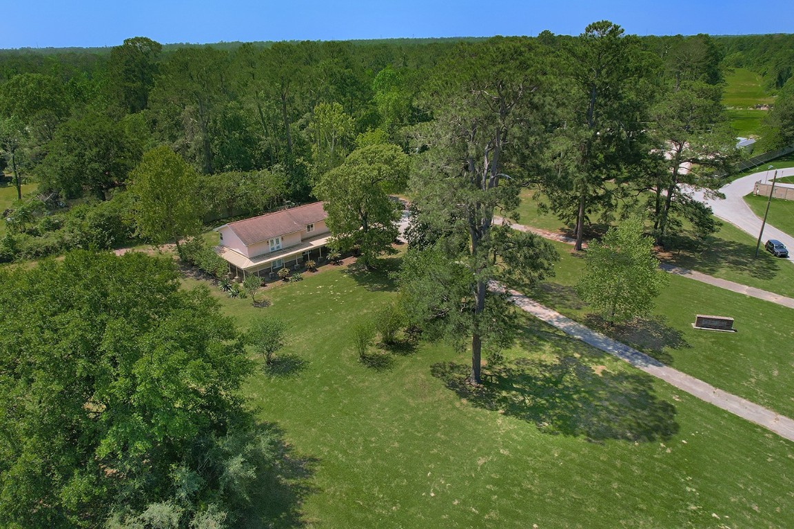 1231 Pruitt Road Spring, TX 77380 - Photo 37 of 37 a view of a forest with a houses