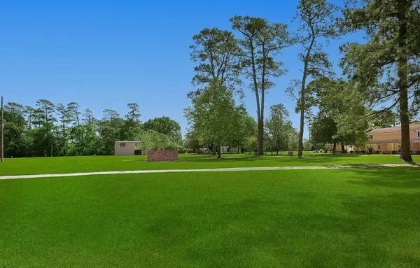 a view of a grassy field with trees