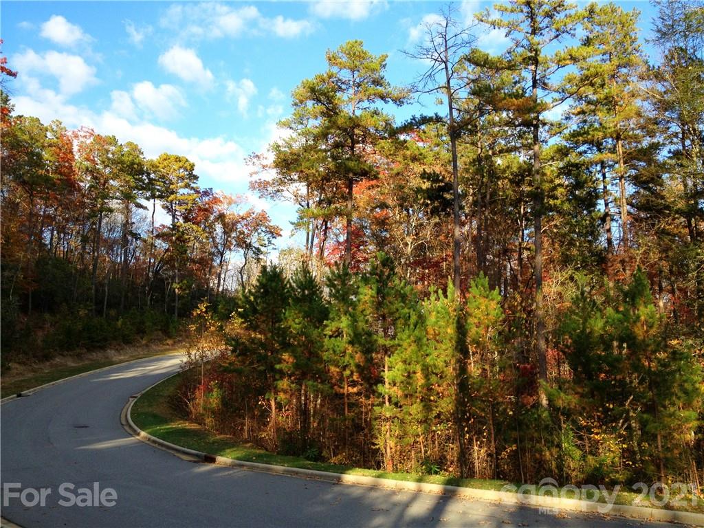 Upper Camptown Road, Unit M106 Brevard, NC 28712 - Photo 4 of 4 a view of a yard