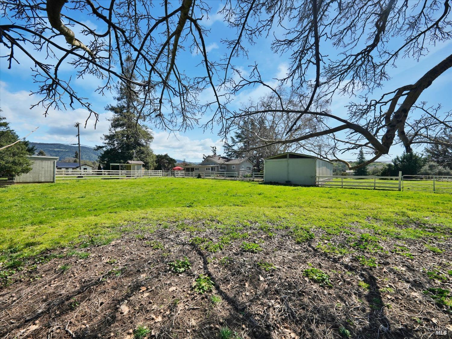 2060 Hagen Road Napa, CA 94558 - Photo 31 of 56 a view of a yard with plants and large trees