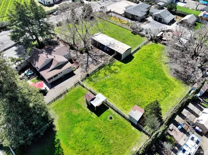 a view of a yard with an tree