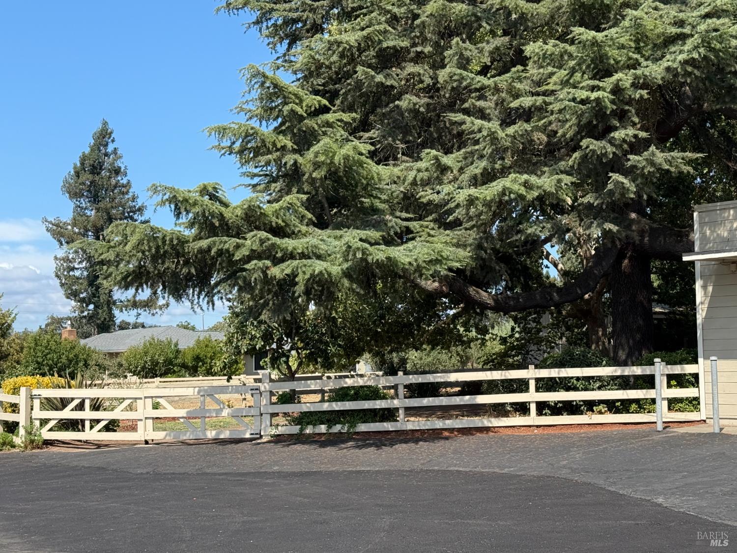2060 Hagen Road Napa, CA 94558 - Photo 53 of 56 a view of backyard with large trees and plants