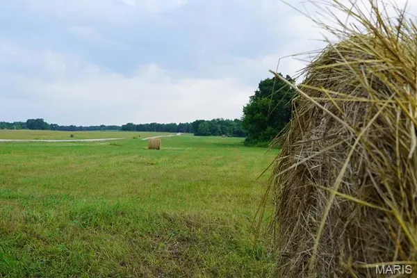 $59,000 | 0 Lot Place, Perry, MO 63462