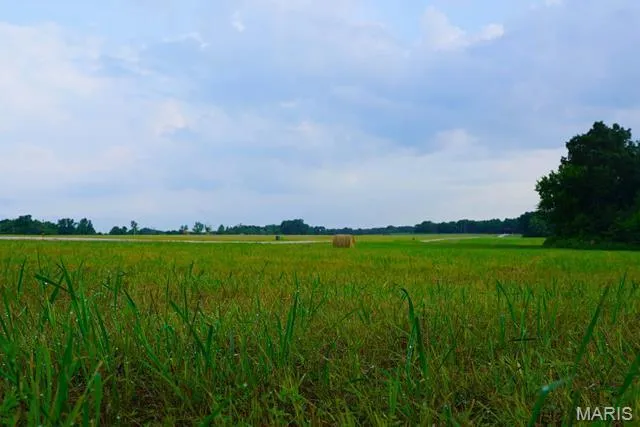 $59,000 | 0 Lot Place, Perry, MO 63462