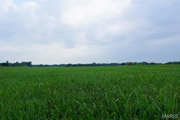 $59,000 | 0 Lot Place, Perry, MO 63462