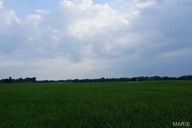 0 Lot Place Perry, MO 63462 - Photo 17 of 32