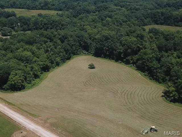 $59,000 | 0 Lot Place, Perry, MO 63462